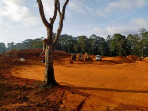 Land Development Work for Proposed BMF Warehouse