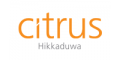 Citrus Hikkaduwa